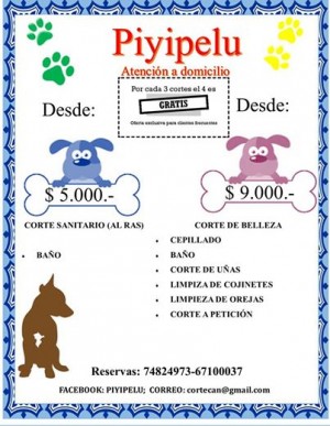 Fabian  Repuestos en Chile en Santiago |  Peluquer&iacute;a canina a domicilio en regi&oacute;n metropolitana , Corte de pelo