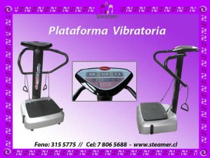 mamncat Repuestos en Chile en Maip&uacute; |  Plataforma Crazy vibratoria PARA REHABILITACION,  PLATAFORMA VIBRATORIA CRAZY FIT